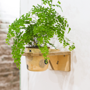 Hanger Pots Wall On