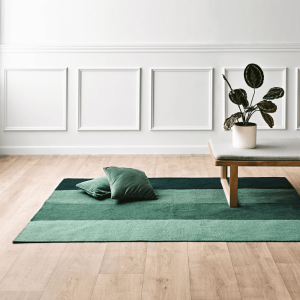 Plastic Carpet
