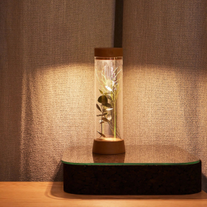EOS Table Lamp