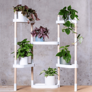 Plant shelf with 6 trays