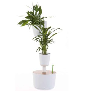 Wifi auto watering Citysens vertical garden-20096