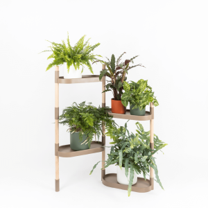 Plant shelf with 4 trays