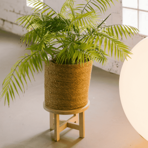 soporte-tiestos-grandes-madera-la-selva-ekohunters-ecodiseño-sostenibilidad-debosc